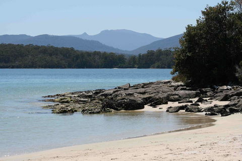 Driftwood - Accommodation Bookings 14