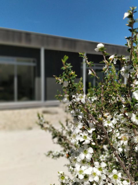 Aplite House - Accommodation Bookings 7