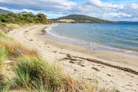Omaroo Cottage Bruny Island - Accommodation Bookings 14