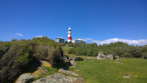 BIG4 Low Head Tourist Park - Accommodation Bookings 6