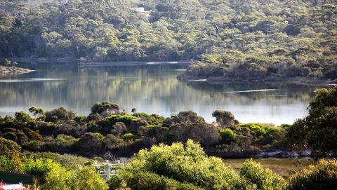 SEA EAGLE COTTAGE Amazing Views Of Bay Of Fires - Accommodation Bookings 17
