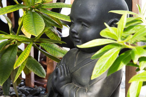 Bakers Retreat - Accommodation Bookings 12