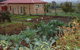 Cherry Top Farmstay - Boutique Eco Village - thumb 15