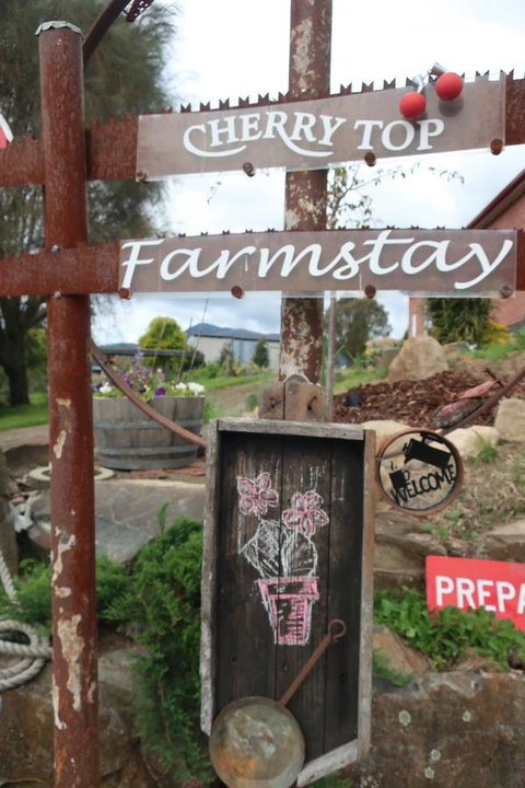 Cherry Top Farmstay - Boutique Eco Village - Accommodation Bookings 5