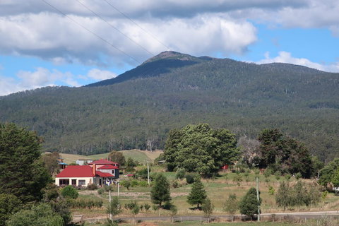 Cherry Top Farmstay - Boutique Eco Village - Accommodation Bookings 4