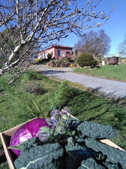 Cherry Top Farmstay - Boutique Eco Village - Accommodation Bookings 23