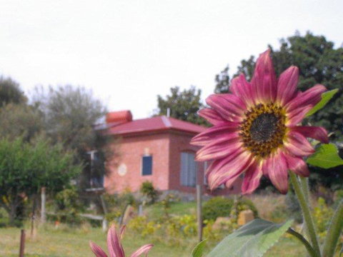 Cherry Top Farmstay - Boutique Eco Village - Accommodation Bookings 27