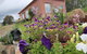 Cherry Top Farmstay - Boutique Eco Village - thumb 7