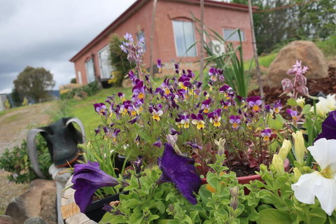 Cherry Top Farmstay - Boutique Eco Village - Accommodation Bookings 7