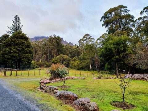 Roland B&B - Accommodation Bookings 19
