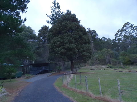 Roland B&B - Accommodation Bookings 25