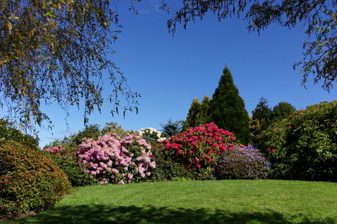 Highgrove - Accommodation Bookings 15