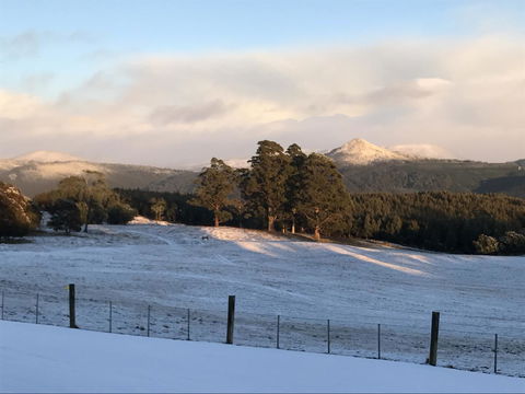 Highgrove - Accommodation Bookings 26
