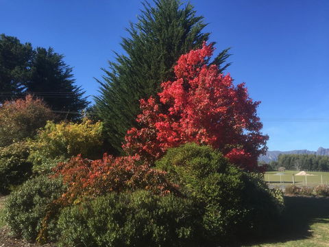 Highgrove - Accommodation Bookings 22