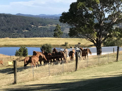 Highgrove - Accommodation Bookings 25