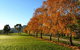 Plovers Ridge Country Retreat - thumb 8