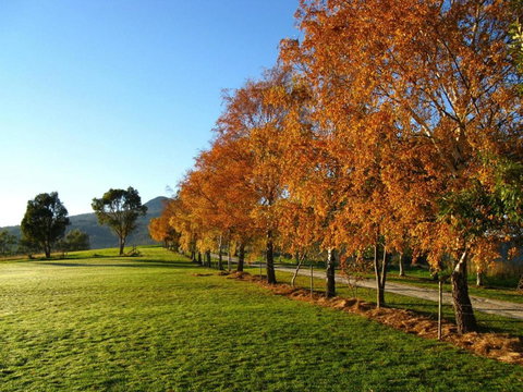 Plovers Ridge Country Retreat - Accommodation Bookings 8