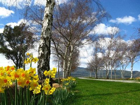 Plovers Ridge Country Retreat - Accommodation Bookings 4