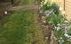 Our Cottage - thumb 1