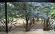 Oyster Cove Chalet - thumb 29