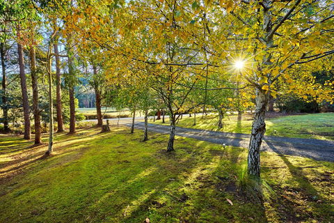 Oyster Cove Chalet - Accommodation Bookings 1