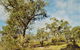 Oyster Cove Chalet - thumb 18