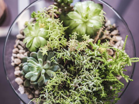 Russell House - Accommodation Bookings 7