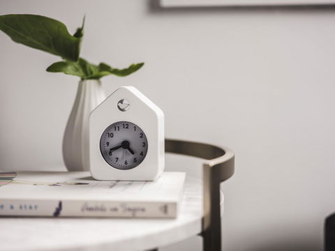 Russell House - Accommodation Bookings 14