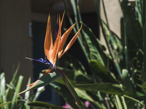 Russell House - Accommodation Bookings 2