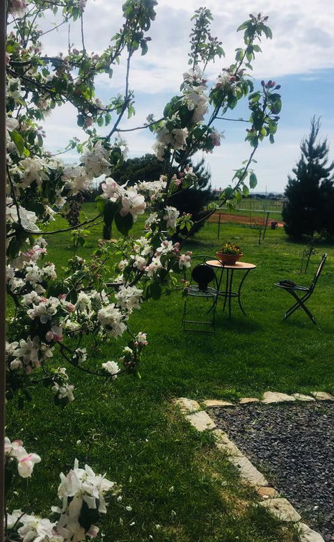 White Croft Cottage - Accommodation Bookings 4