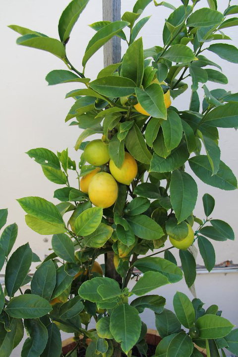 Old Bishop\'s Quarters Heritage, Modern & Unique Accommodation - Accommodation Bookings 17