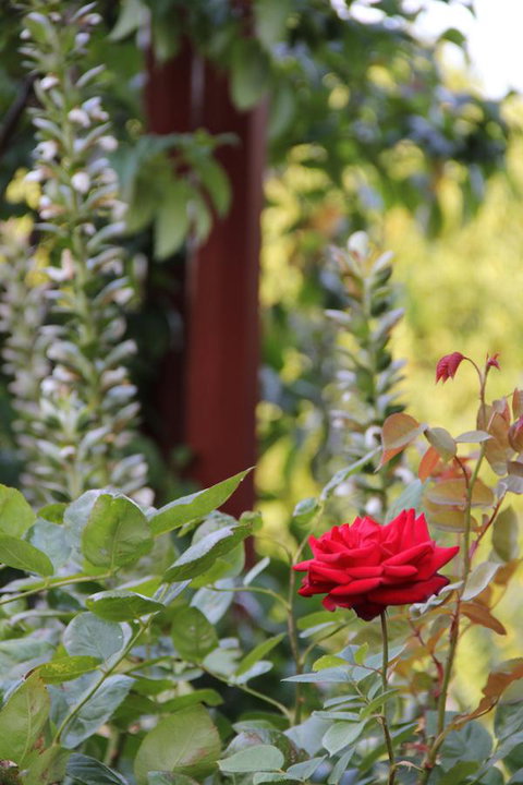 Old Bishop\'s Quarters Heritage, Modern & Unique Accommodation - Accommodation Bookings 18