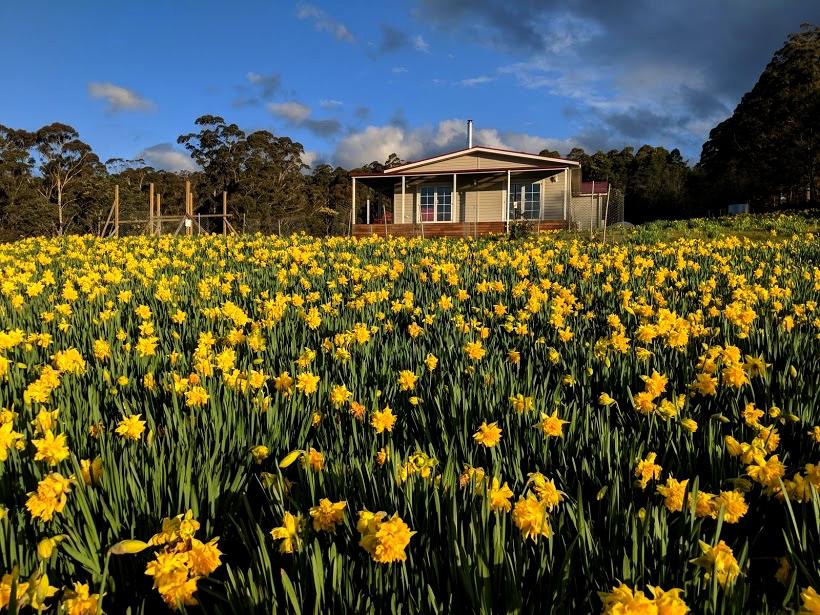 Golden Valley TAS Accommodation Bookings