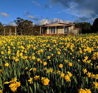 Mountain Blue Guest House