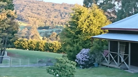 Glengarry Farm Stay BnB - Accommodation Bookings 7
