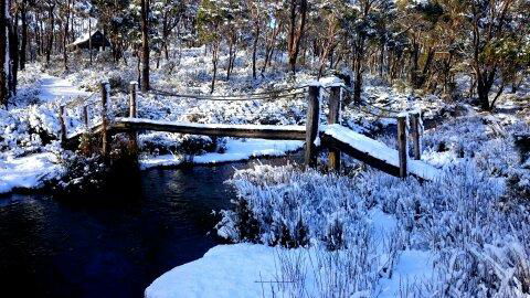 Cradle Mountain Love Shack - Accommodation Bookings 10