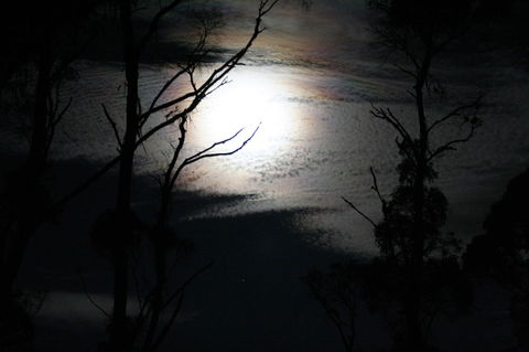 Cradle Mountain Love Shack - Accommodation Bookings 12