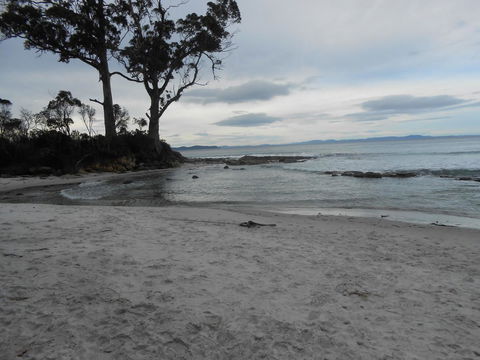 Bruny Ocean Cottage - Accommodation Bookings 7