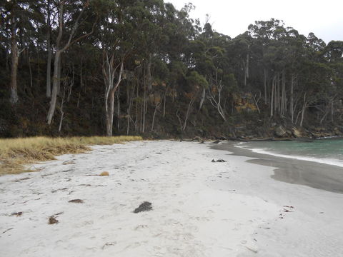Bruny Ocean Cottage - Accommodation Bookings 12