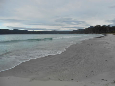Bruny Ocean Cottage - Accommodation Bookings 11