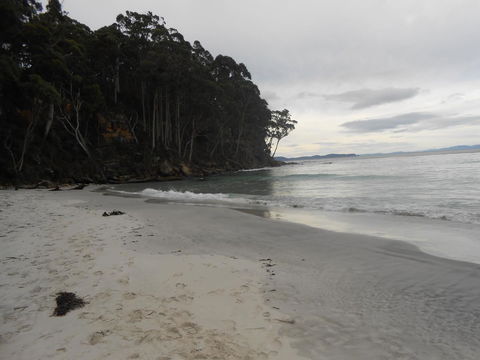 Bruny Ocean Cottage - Accommodation Bookings 17