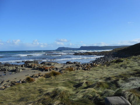 Bruny Ocean Cottage - Accommodation Bookings 15