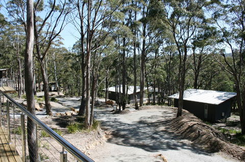 Craggy Peaks Wilderness Cabins - Accommodation Bookings 22
