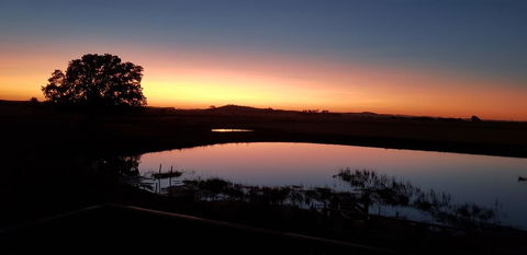 New Horizons Farm Stay - Accommodation Bookings 1