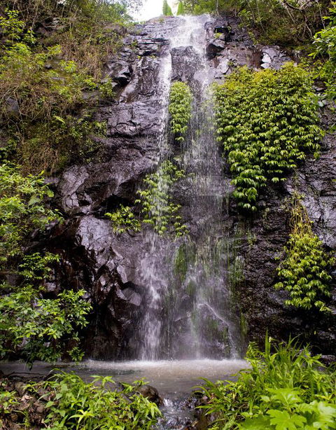 Nimbin Waterfall Retreat - Accommodation Bookings 3