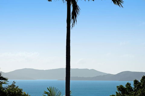 Oasis 25 Hamilton Island - Accommodation Bookings 0