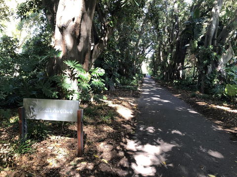 One Bedroom Cottage Close To Adelaide CBD - Accommodation Bookings 3
