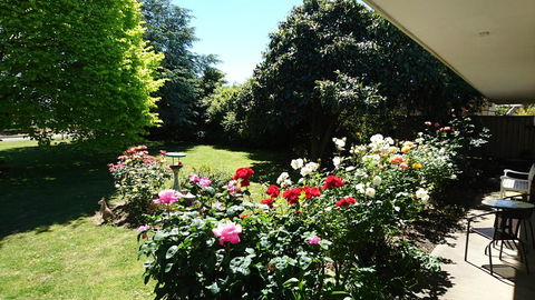 Opal Motel - Accommodation Bookings 2
