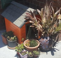 Orange Grove Hotel - Accommodation Bookings