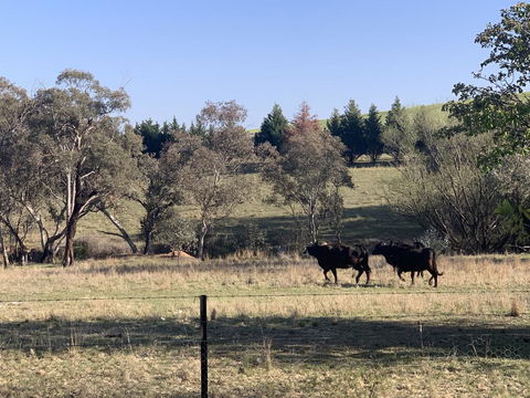 OConnell Retreat BnB - Accommodation Bookings 1